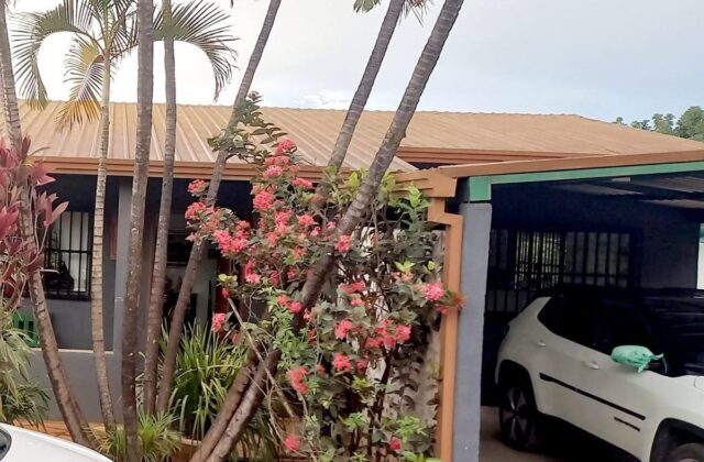 Chácara de 21.000 m² com 3 casas, Lago Oeste — foto 10