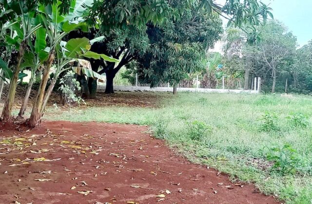 Chácara de 21.000 m² com 3 casas, Lago Oeste — foto 16