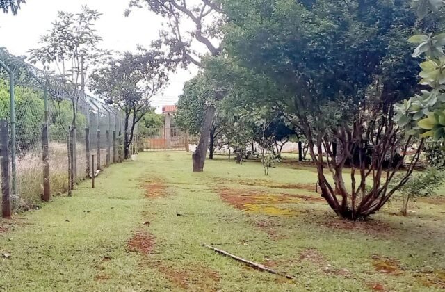 Chácara de 21.000 m² com 3 casas, Lago Oeste — foto 19