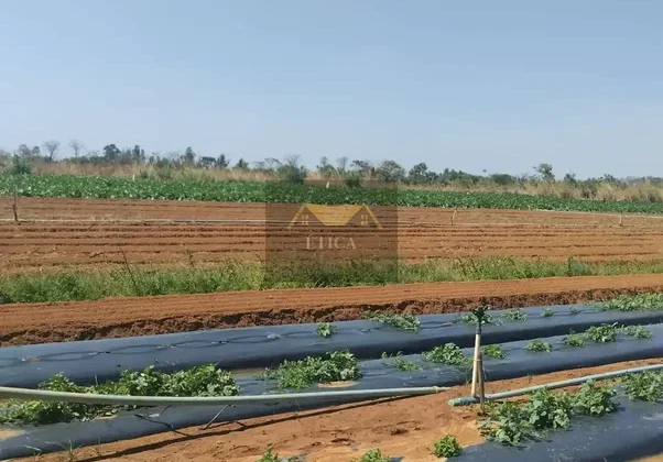 Chácara de 5 ha com 2 casas em Brazlândia — foto 5