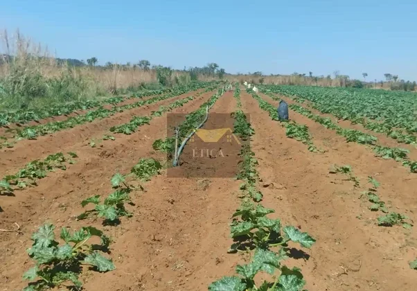 Chácara de 5 ha com 2 casas em Brazlândia — foto 6