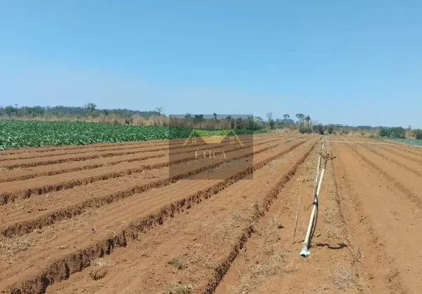 Chácara de 5 ha com 2 casas em Brazlândia — foto 8