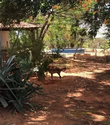 Chácara de 2,3 ha na Ponte Alta Sul, Gama — foto 5