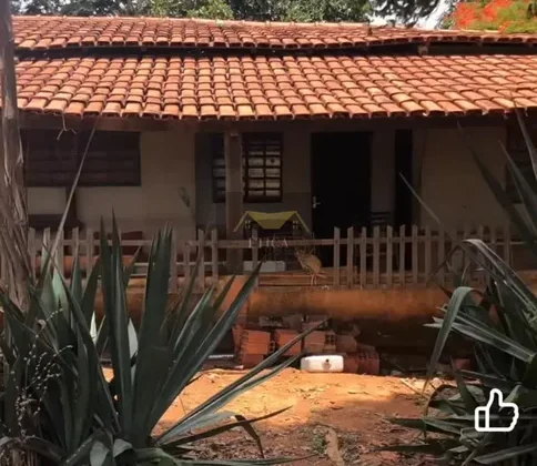 Chácara de 2,3 ha na Ponte Alta Sul, Gama — foto 6